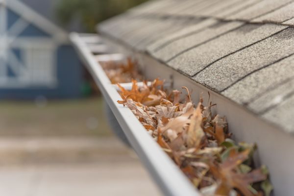 Leaf Barrier Installation in Watkinsville
