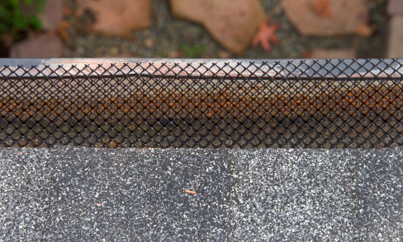 Gutter Cover Close-Up